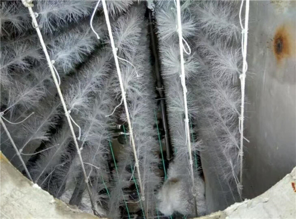 一體化91成人免费看片